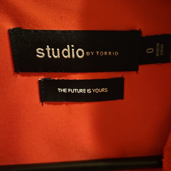 TORRID STUDIO BLAZER - Picture 7 of 7